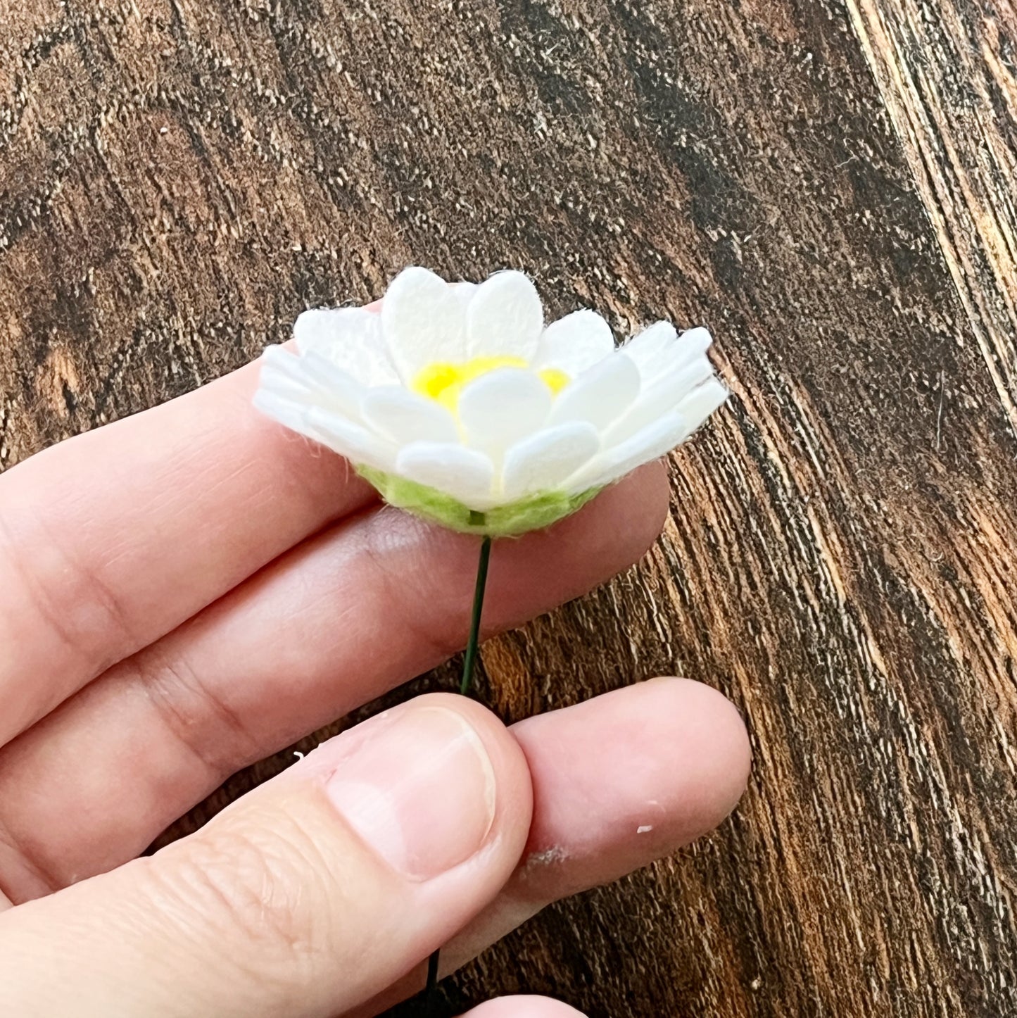 Felt Daisy Flower Stem β Handmade Chamomile Daisy β White & Yellow β No Leaves β 1/3/5/15 Stems β Felt Floral Home Decor or Gift