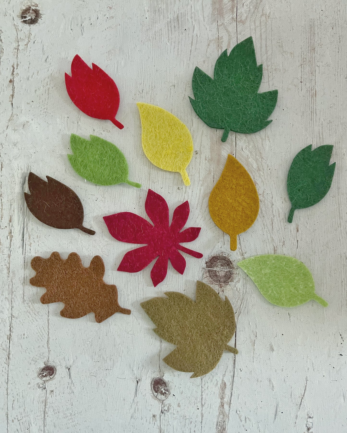 Big leaf die-cut pack, Tiny felt leaves Mix, SET of 25