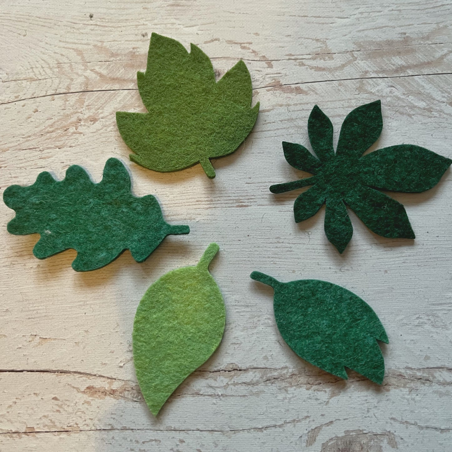 Big leaf die-cut pack, Tiny felt leaves Mix, SET of 25